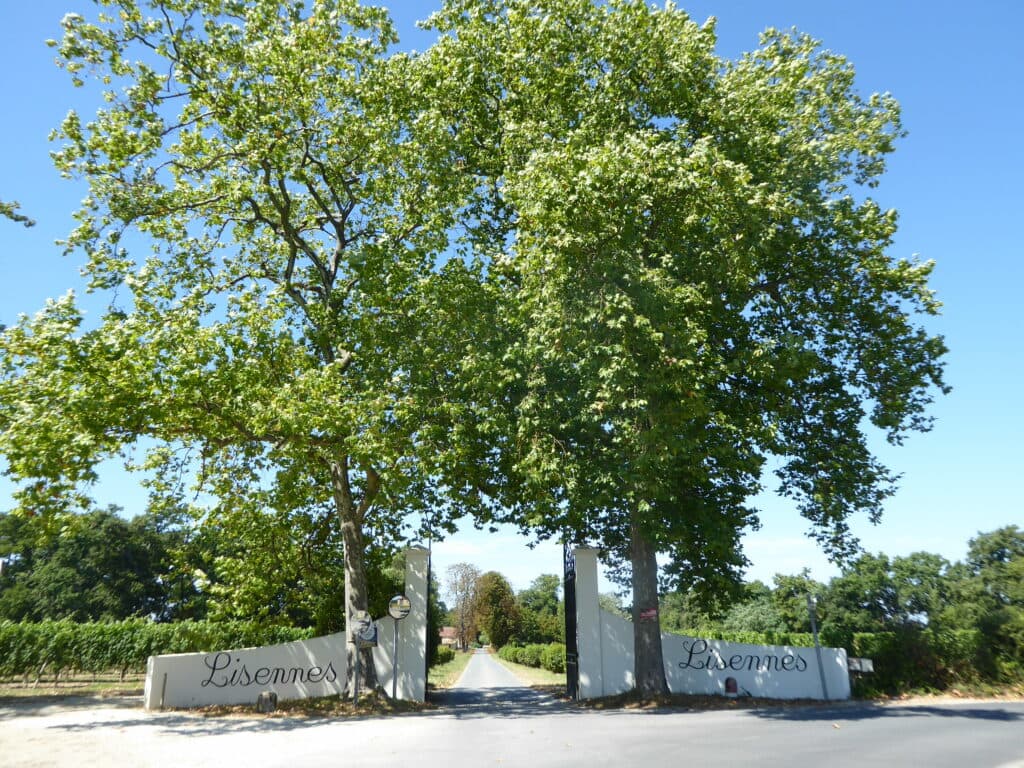 Château de Lisennes — Photo 2